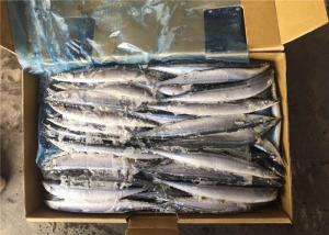 China #4 Frozen Pacific Saury wholesale