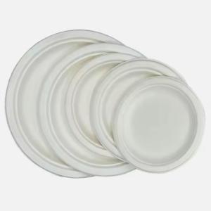 China 7 Inch Pulp Round Biodegradable Disposable Dishes Plates Freezer Safe wholesale