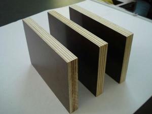 China Film Faced Plywood with 14mm 15mm 18mm and 21mm, phenolic shuttering plywood wholesale