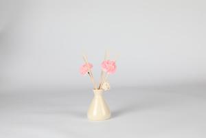 China Decorative Non Toxic Reed Diffuser wholesale