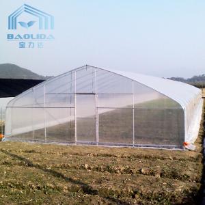 China Agricultural Tomatoes Single Layer Greenhouse With 80 Micron Film wholesale