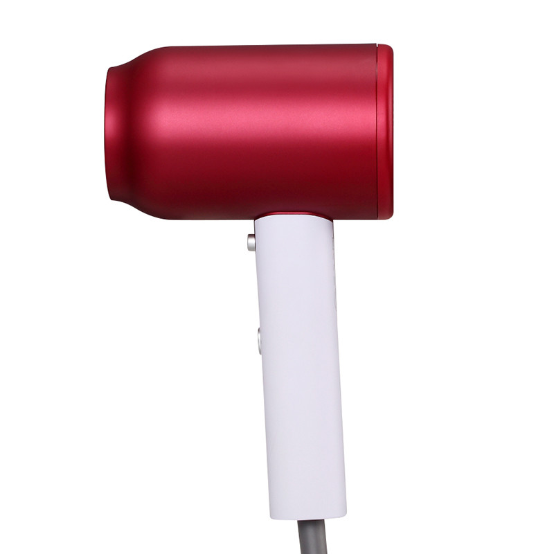 1500W Professional Ionic Hair Dryer 50/60 Hz Portable for Hair Care