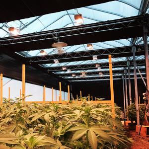 China Agriculture Blackout Light Deprivation Greenhouse Fully Automated wholesale