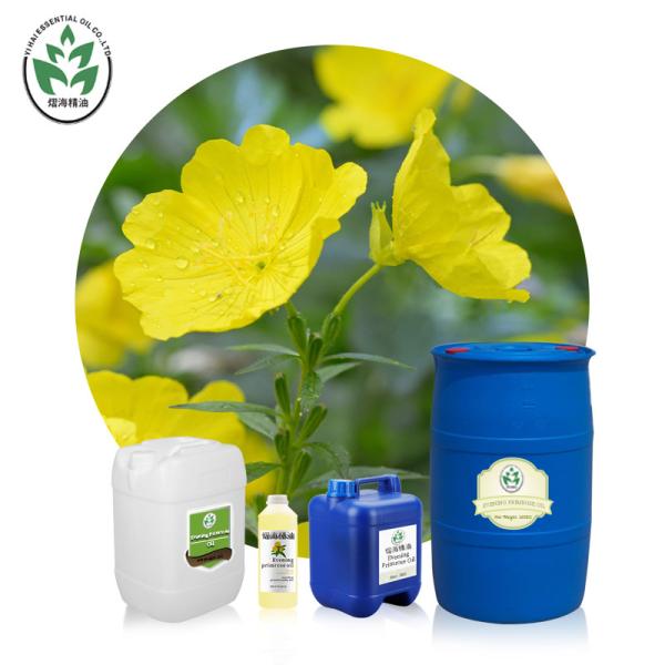 Cas 65546-85-2 Massage Essential OIls Evening Primrose Oil Rheumatoid Arthritis