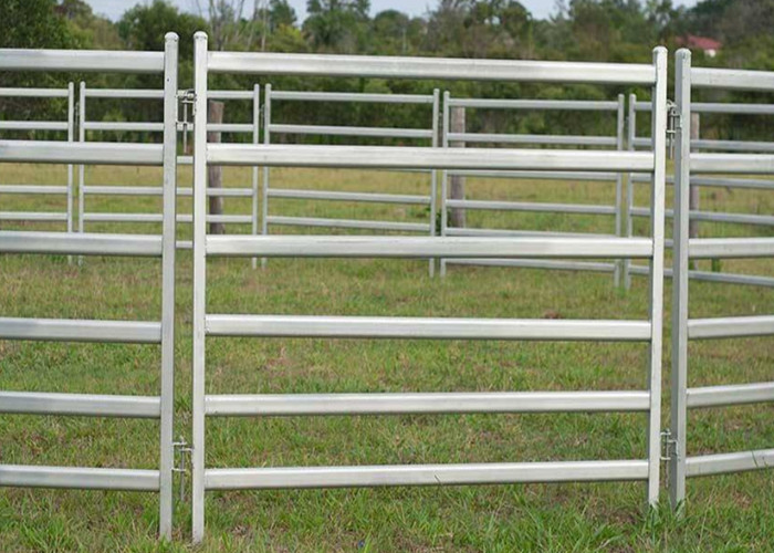 6 Rail Heavy Duty Steel Cattle Fence Panel Use Corral Panels 1820X2100mm