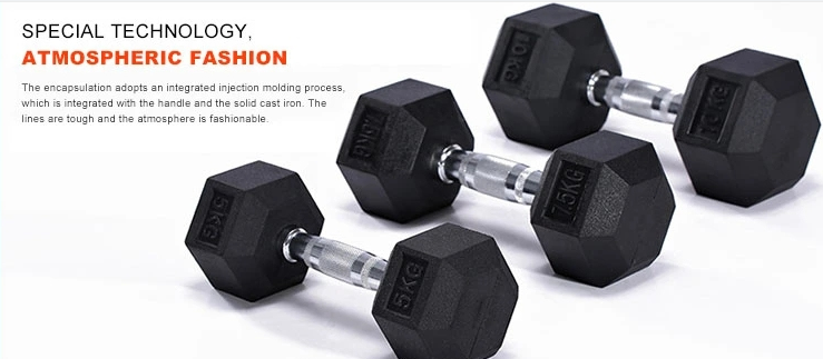 Cast Iron Hex Dumbbells Adjustable Home Gym Fitness Equipment Steel Free Weights
