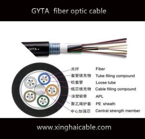 China 2017 hot sale GYTA 24 core G652D communication fiber optic cable wholesale