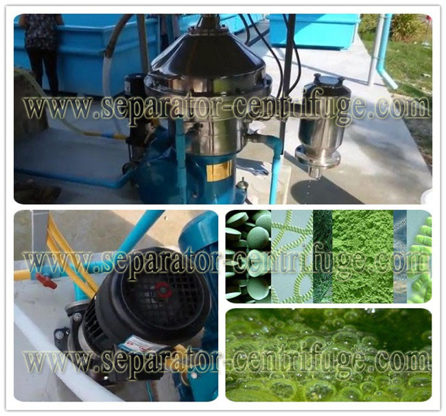 Liquid Chlorella Disc Stack Centrifuges Concentration Equipment For Algae 2 Phase