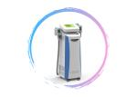 fat freezing cryolipolysis slimming machine Weight Loss Cryolipolysis Slimming