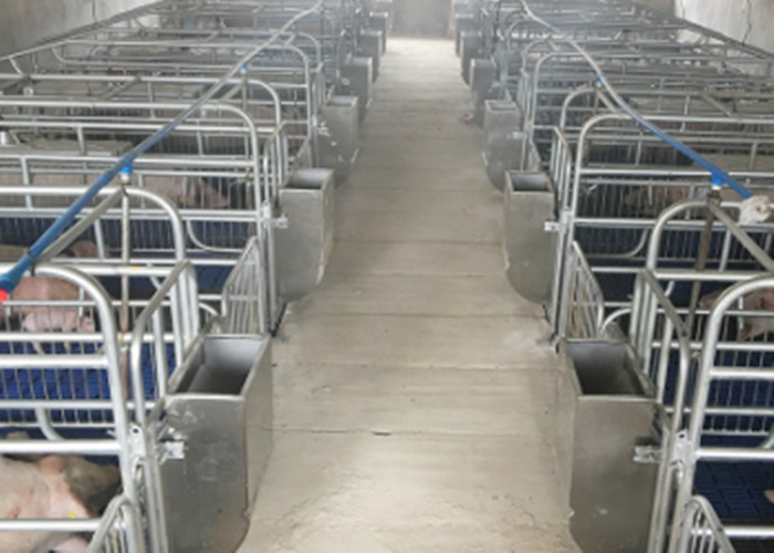 Stainless Steel Sow Farrowing Crate Pig Farm Adjustable Cast Iron Floor Slat