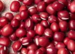Edema Reduction Main Agricultural Products Vigna Umbellata Red Adzuki Beans