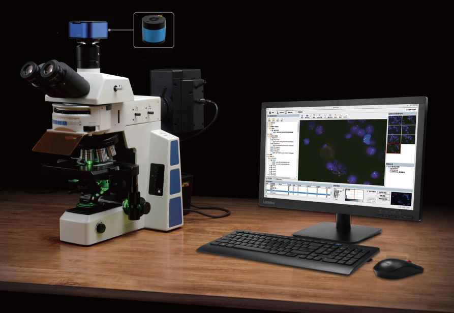 Trinocular Medical Lab Biological Microscope Para Celular 180 X 155mm White