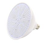 Fountain 169mm AC110V Pentair Hayward Light Fixture