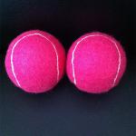 pet toy felt tennis balls