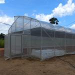 OEM Hydroponic Tunnel Plastic Greenhouse Galvanizing Steel Farm Supply