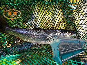 China Knotless Nylon Multifilament Monofilament Fishing Net Machine wholesale