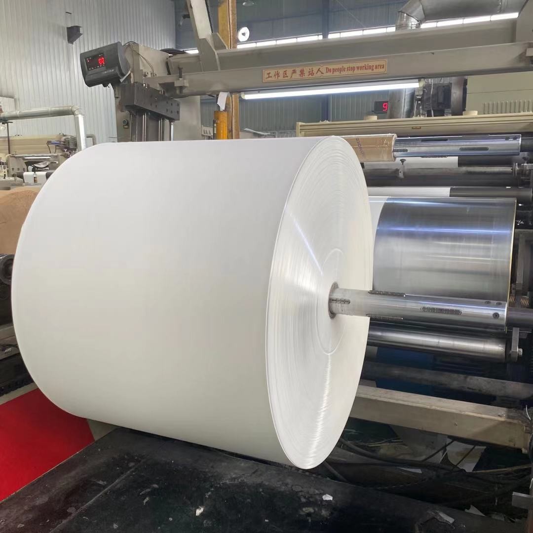 High Bulk White PE Coated Paper Roll 310gsm Kraft For Bowl Burst Resistance