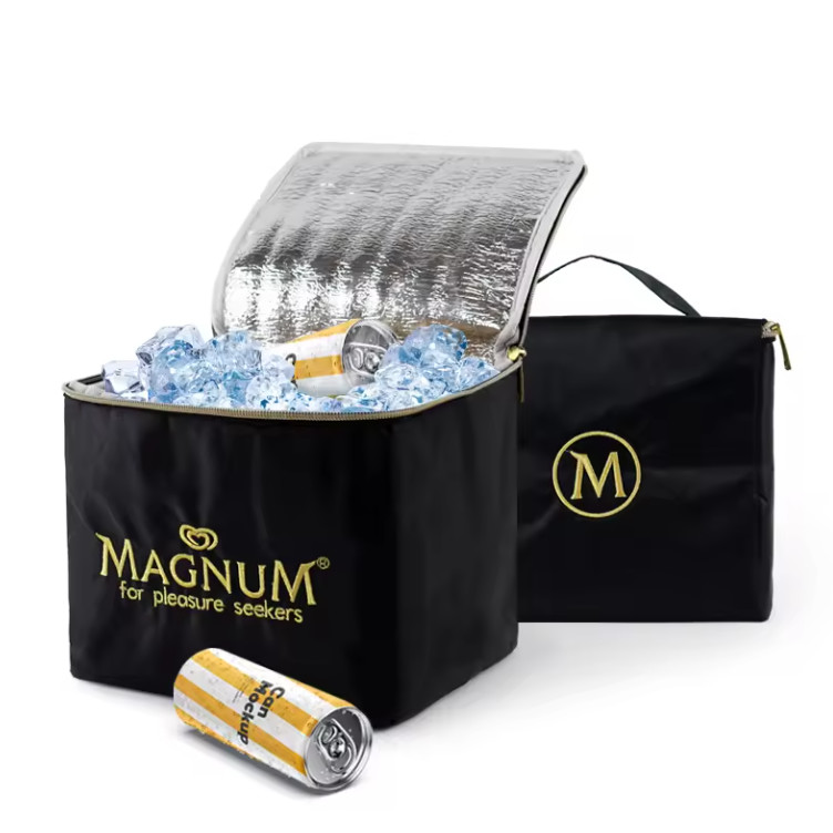 Thermal Insulated Carry On Picnic Cooler Bag Waterproof Zipper Closure
