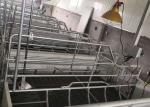 Prefab Steel Portal Frame Structure Construction Windproof Pig House