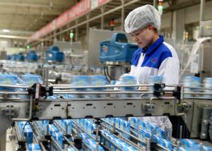 China Lactic Acid Bacteria Dairy Production Line Yogurt Manufacturing Equipment / Machine wholesale