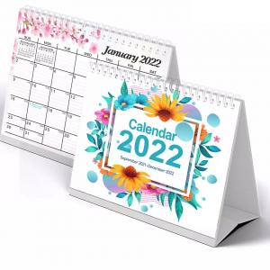 China Paper Printable Desk Calendar 365 Day Plan Wall Calendar Printing on sale