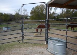 China 8x8 Galvanised Steel 5 Bar Livestock Fence Panels wholesale