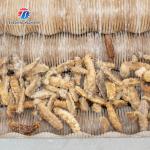 380KG Stainless steel wool roller peeling cleaning machine turnip automatic