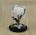 beauty and the beast roses preserved roses in glass dome rose for lover's gift