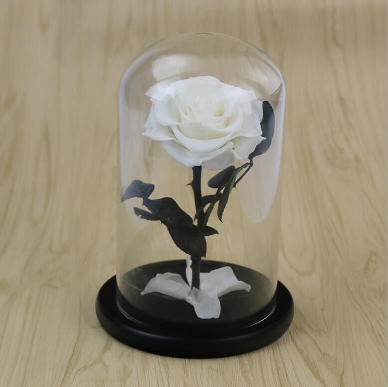 Preserved Fresh Flower Live Enchanted Rose in Glass Dome Cover with Gift Box Forever Real Rose Everlasting Flower