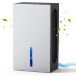 2.4 L Household High Efficiency Dry Dehumidifier▕ DN-610