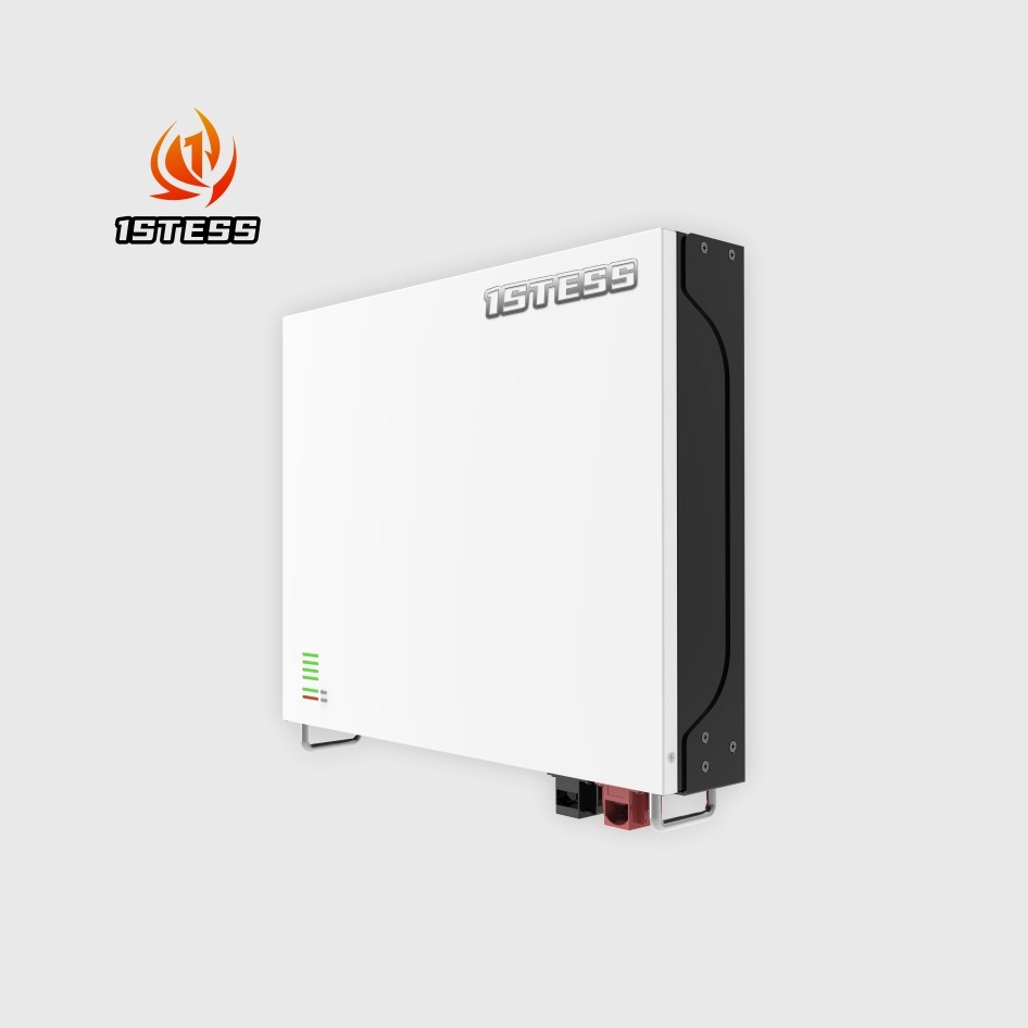 ODM Lithium ion Batteries Lifepo4 24v 100ah LFP Battery Price 25.6v 2.56kWh Lifepo4 Battery Pack for Home ESS