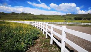 China Longevity White Vinyl PVC Farm Fence 3 Rails Horse Rail Fence wholesale