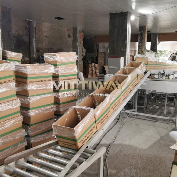 Custom Automatic Bag Inserter Packaging Type With PLC Control System