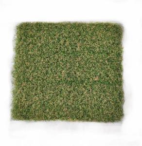 China Indoor SGS Artificial Golf Turf Grass 15mm Putting Green wholesale