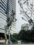 Mirror polish stainless steel sculptures ,art metal sculptures,Stainless steel