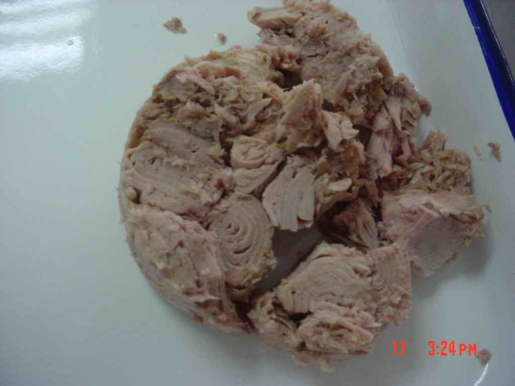Fresh Healthy Tuna Bulk Frozen Fish / White Tuna Fish For Lunchtime Staple