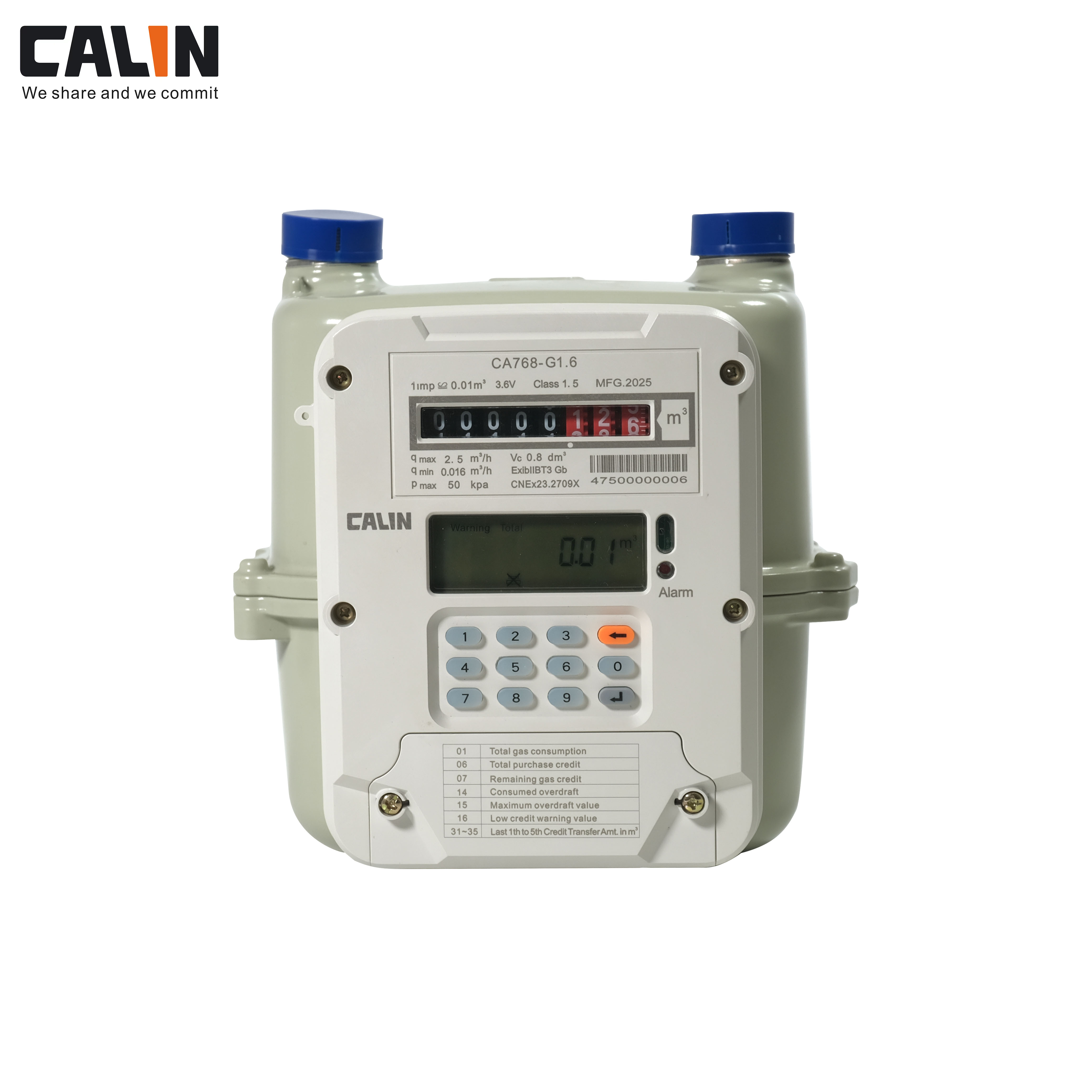 China LoraWAN Management STS/DLMS Keypad Prepaid Gas Meter wholesale
