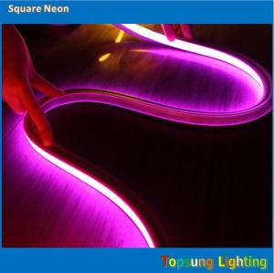 China SUPER bright square 127v 16*16m PINK led neon light wholesale