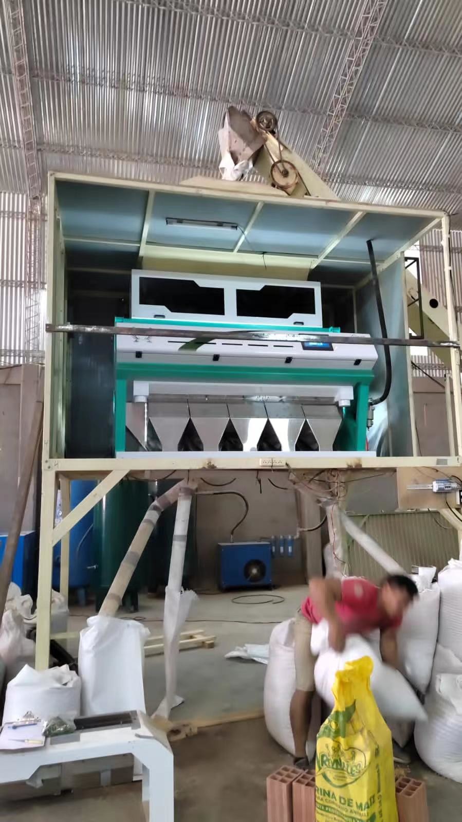 Poland Rye Beans Color Sorter Machine For White Beans Sorting And Cleaning