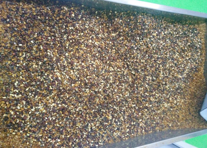 High Definition Groundnut Machine One Channels Peanut Machine