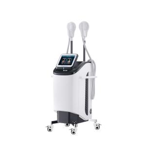 China 27.12MHz Ce Body Slimming Machine Weight Loss Ems Muscle Stimulator Machine wholesale