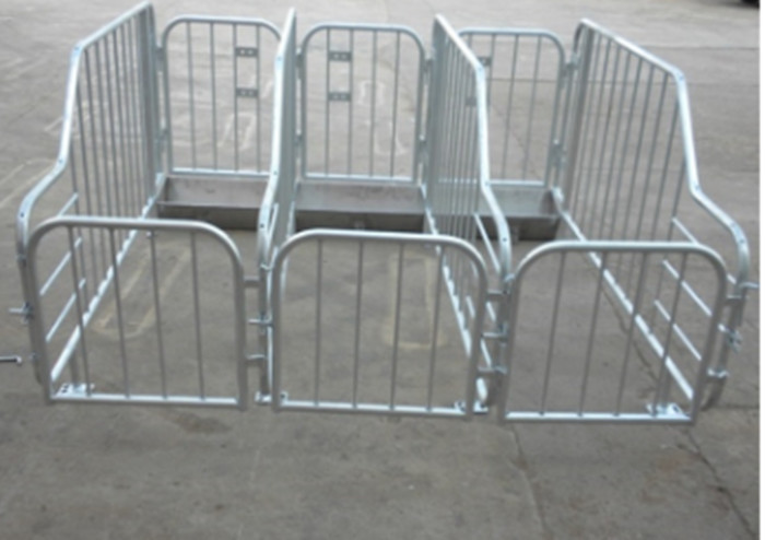 Hot Dip Galvanizing Hog Gestation Crates Customized Pif Farm Stall With Different Size