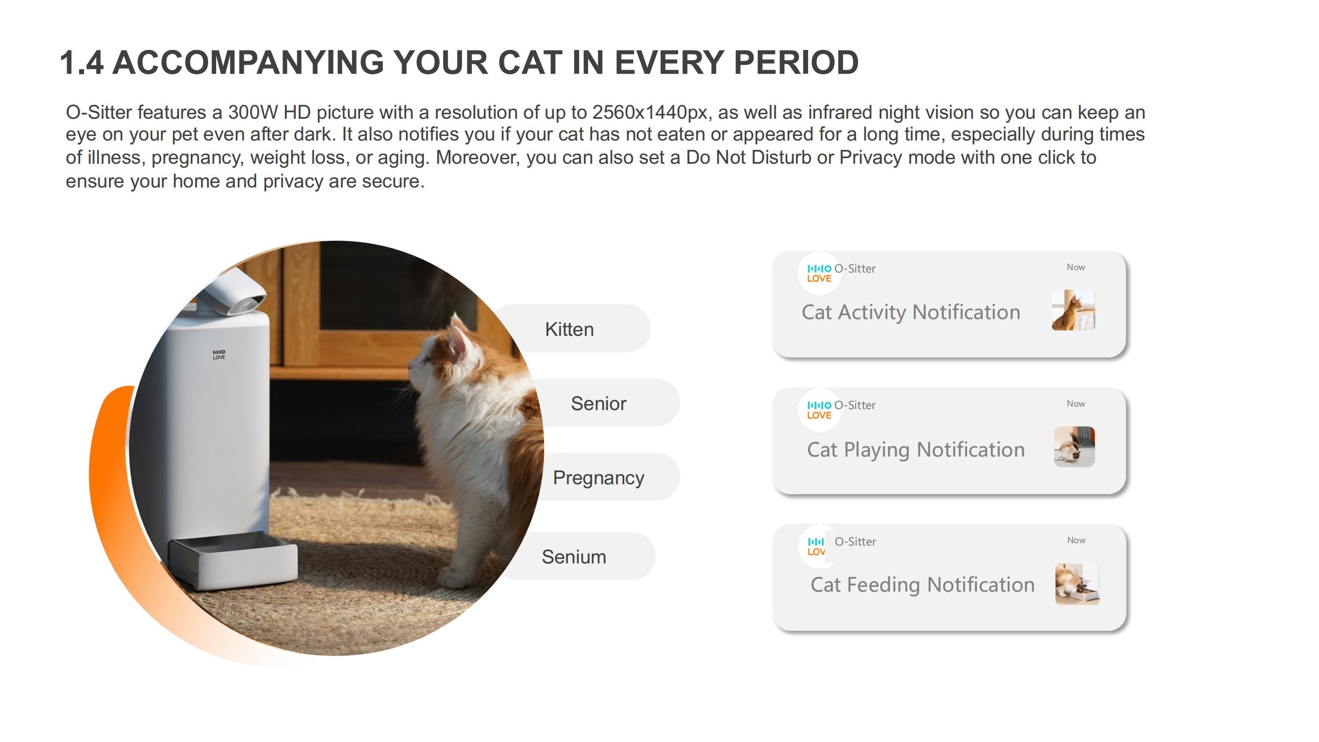 2.5L Feeder Smart Companion Robot For Pets Small Size Light Weight OEM / ODM