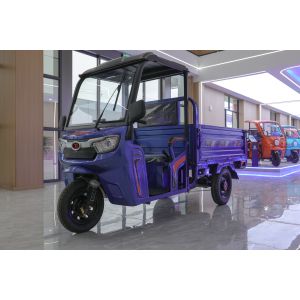 China New for adults cargo electric tricycles passenger use vehicle wholesale