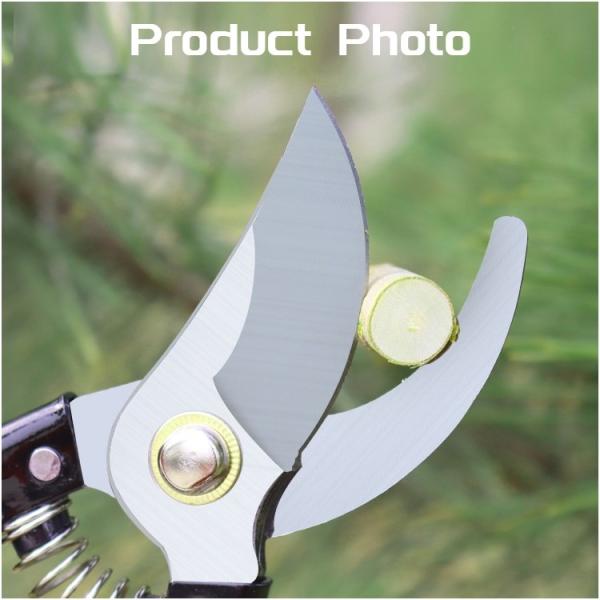 Black Handle Fruit Cutting Durable Professional Pruner Garden Scissors