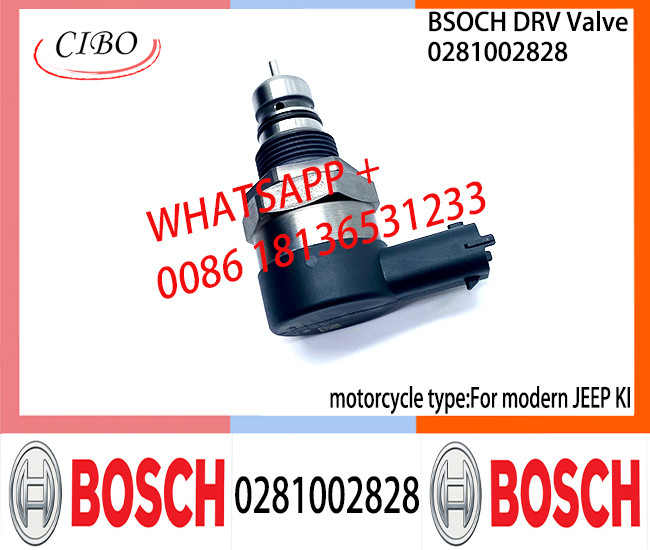 BOSCH DRV Valve 0281002828 Control Valve 0281002828 For modern JEEP KI