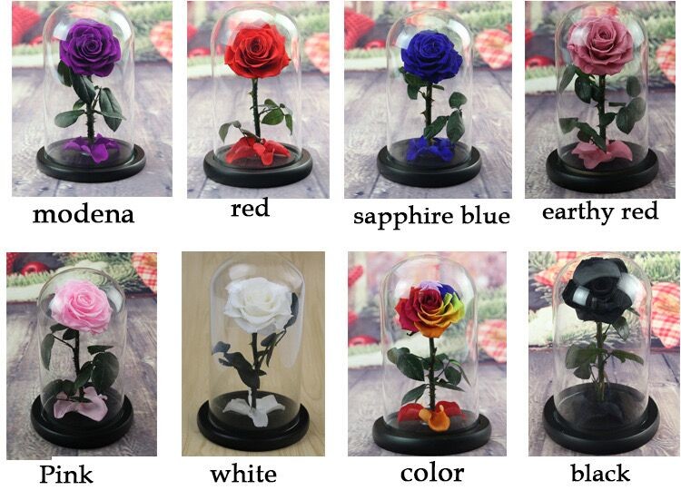 beauty and the beast roses preserved roses in glass dome rose for lover's gift