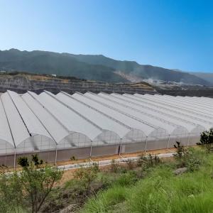 China Multi Span Agricultural / Commercial Hydrophonic Greenhouse Easily Installed wholesale