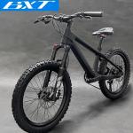20er Kids Mountain Bike Disc Brake Shimano 10 Speed Bicycle For Children