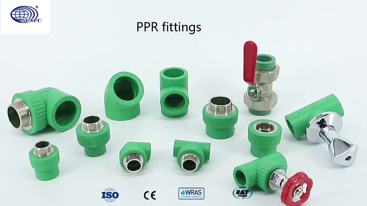 Senpu Custom PPR Pipes Fittings Green Poly PPR Reducing Socket 3 Inch